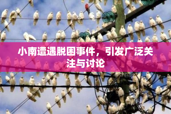小南遭遇脱困事件，引发广泛关注与讨论