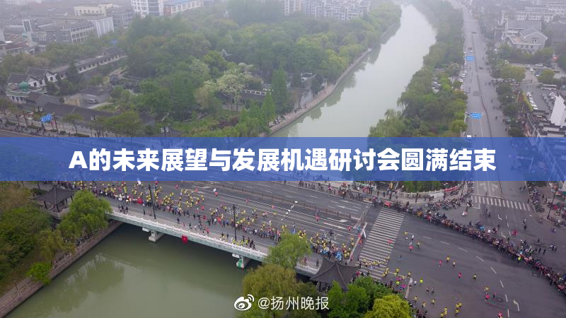 A的未来展望与发展机遇研讨会圆满结束