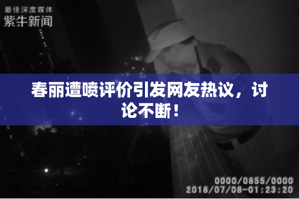 春丽遭喷评价引发网友热议，讨论不断！