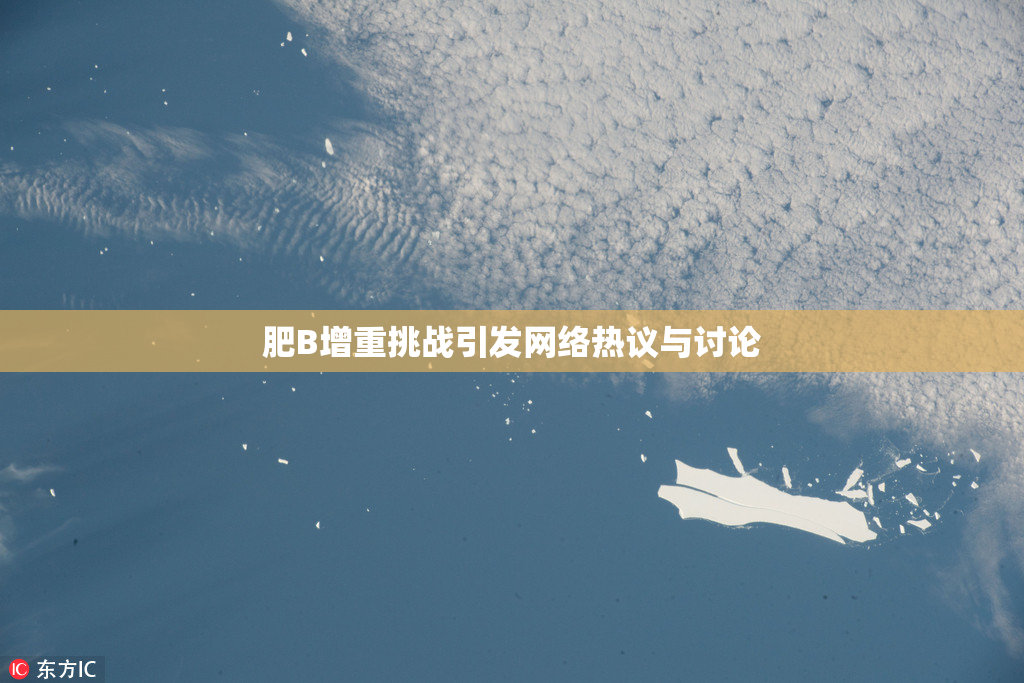 肥B增重挑战引发网络热议与讨论