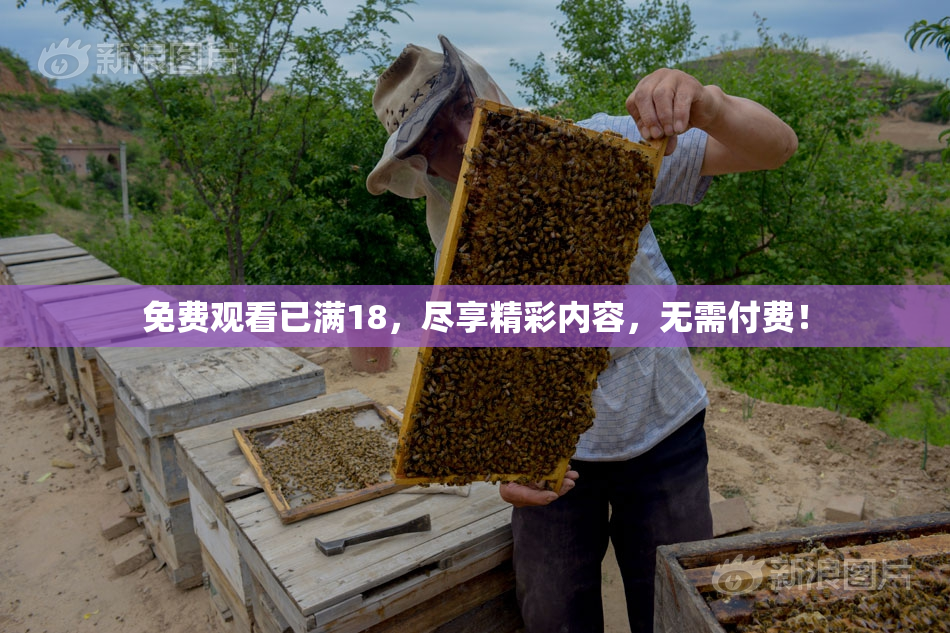 免费观看已满18，尽享精彩内容，无需付费！