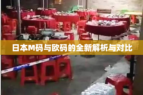 日本M码与欧码的全新解析与对比