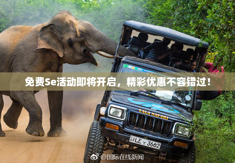免费Se活动即将开启，精彩优惠不容错过！