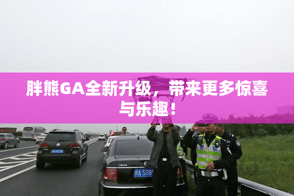 胖熊GA全新升级，带来更多惊喜与乐趣！
