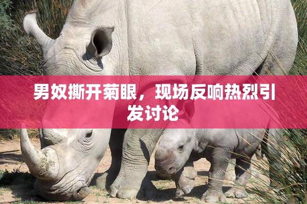男奴撕开菊眼，现场反响热烈引发讨论