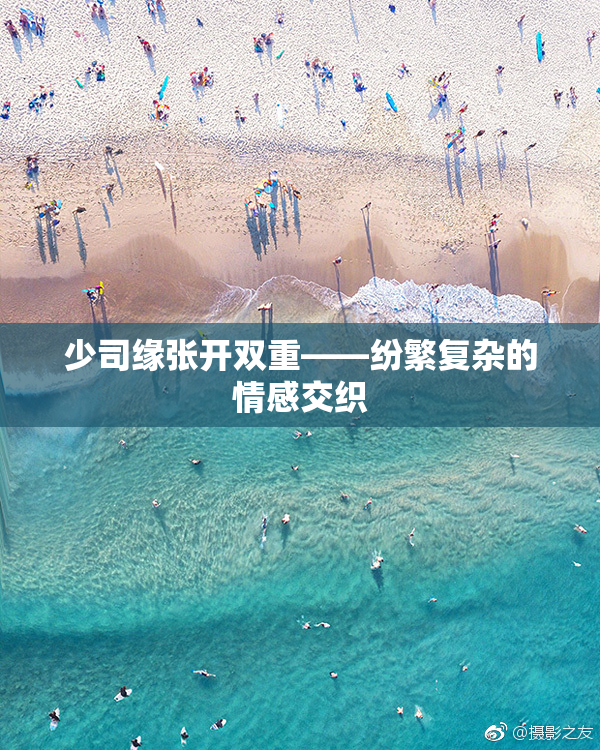 少司缘张开双重——纷繁复杂的情感交织