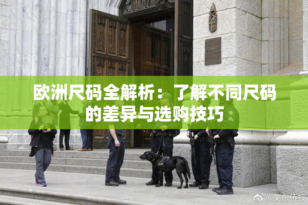 欧洲尺码全解析：了解不同尺码的差异与选购技巧