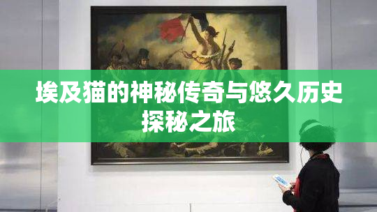 埃及猫的神秘传奇与悠久历史探秘之旅