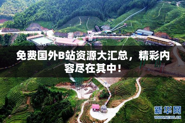 免费国外B站资源大汇总，精彩内容尽在其中！