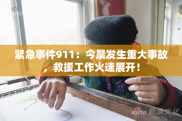 紧急事件911：今晨发生重大事故，救援工作火速展开！