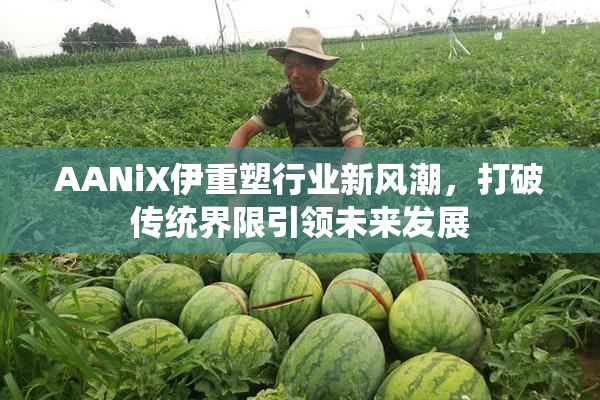 AANiX伊重塑行业新风潮，打破传统界限引领未来发展