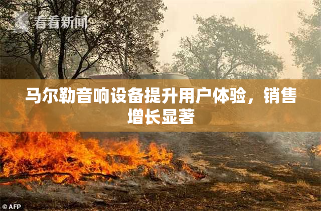 马尔勒音响设备提升用户体验，销售增长显著