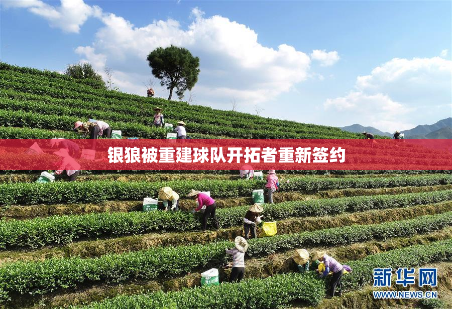 银狼被重建球队开拓者重新签约