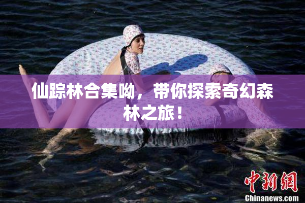 仙踪林合集呦，带你探索奇幻森林之旅！