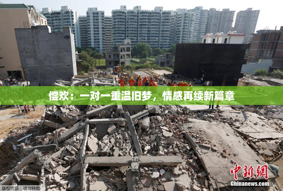 偿欢：一对一重温旧梦，情感再续新篇章