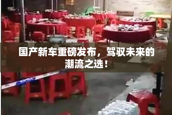国产新车重磅发布，驾驭未来的潮流之选！