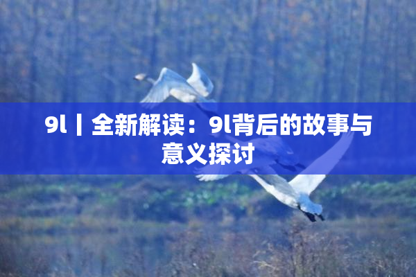 9l丨全新解读：9l背后的故事与意义探讨