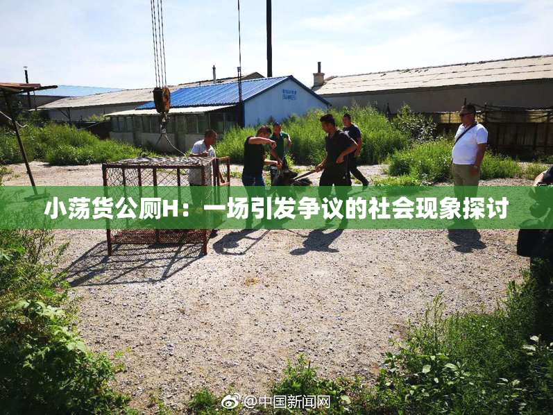 小荡货公厕H：一场引发争议的社会现象探讨