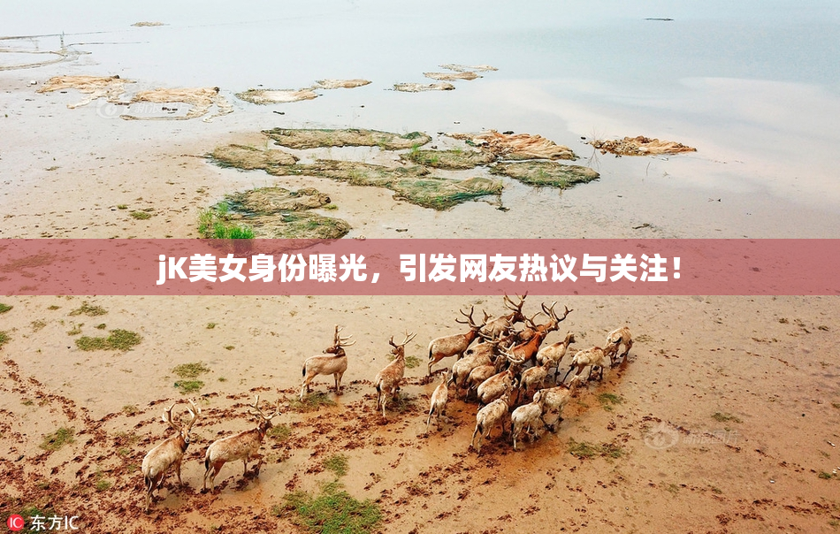 jK美女身份曝光，引发网友热议与关注！