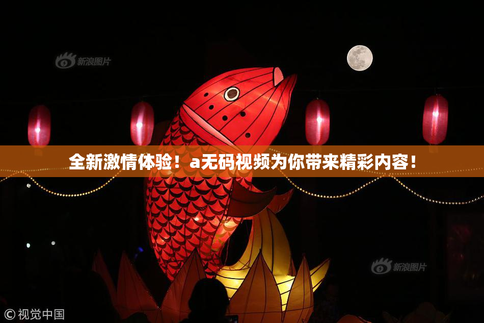 全新激情体验！a无码视频为你带来精彩内容！