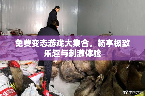 免费变态游戏大集合，畅享极致乐趣与刺激体验