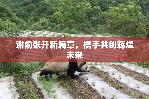 谢俞张开新篇章，携手共创辉煌未来
