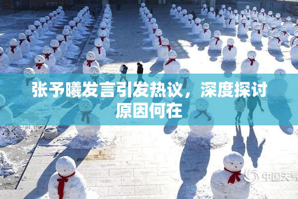张予曦发言引发热议，深度探讨原因何在