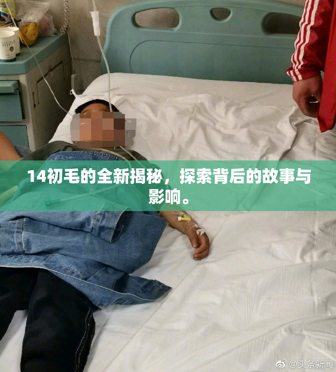 14初毛的全新揭秘，探索背后的故事与影响。