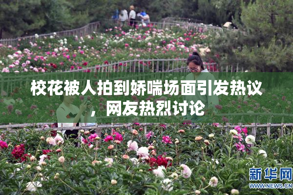 校花被人拍到娇喘场面引发热议，网友热烈讨论