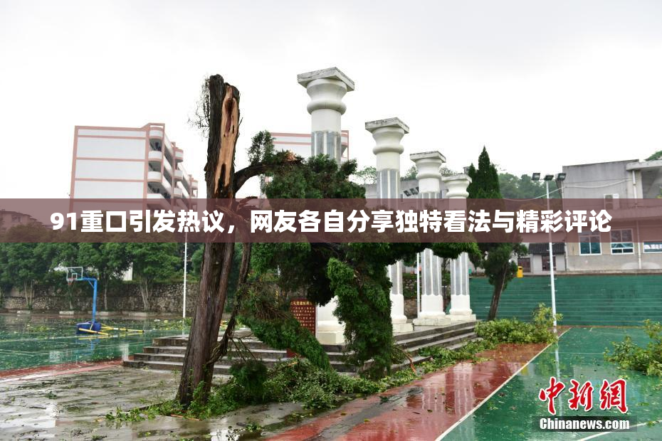 91重口引发热议，网友各自分享独特看法与精彩评论