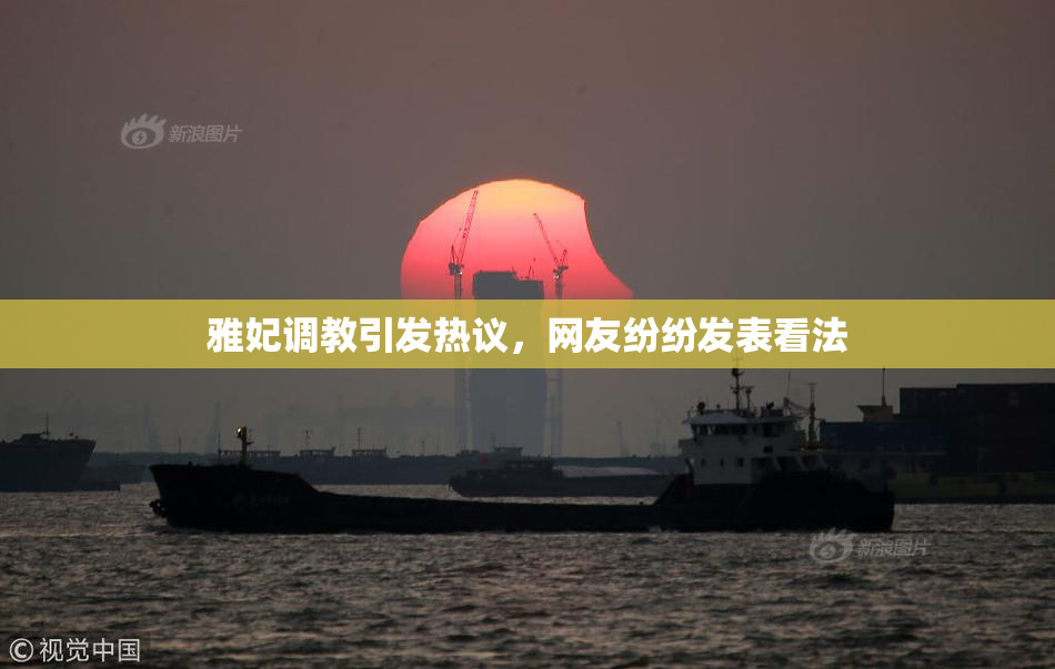 雅妃调教引发热议，网友纷纷发表看法