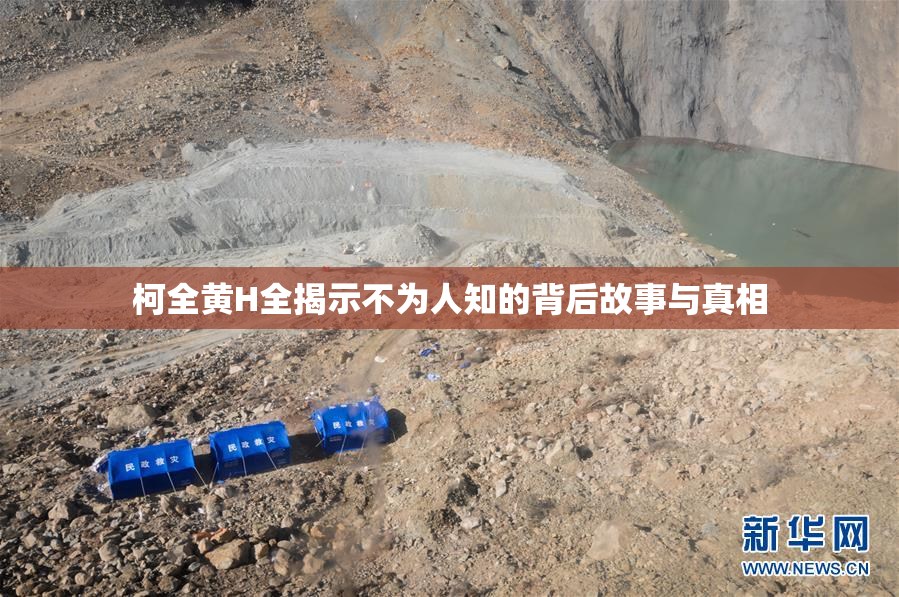 柯全黄H全揭示不为人知的背后故事与真相