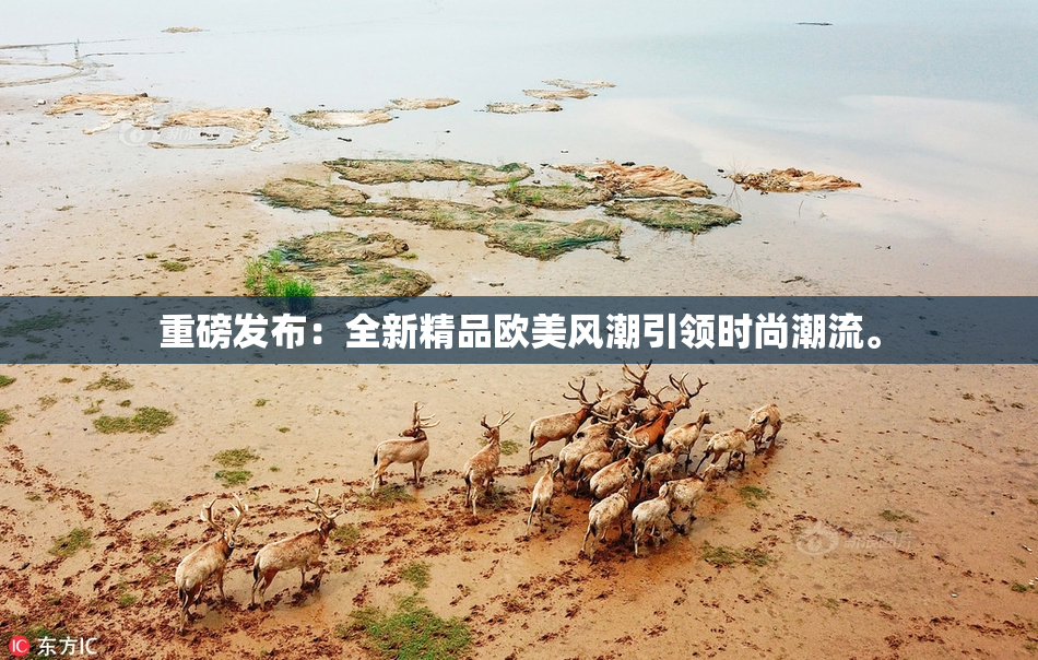 重磅发布：全新精品欧美风潮引领时尚潮流。