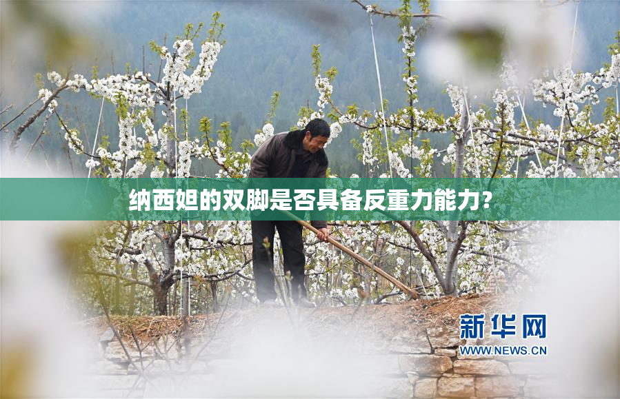 纳西妲的双脚是否具备反重力能力？