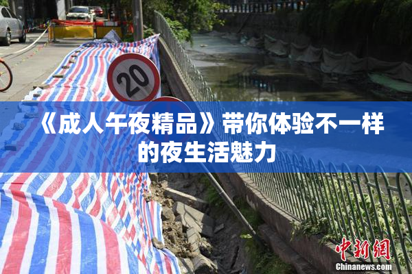 《成人午夜精品》带你体验不一样的夜生活魅力