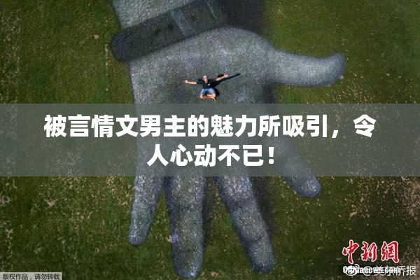被言情文男主的魅力所吸引，令人心动不已！