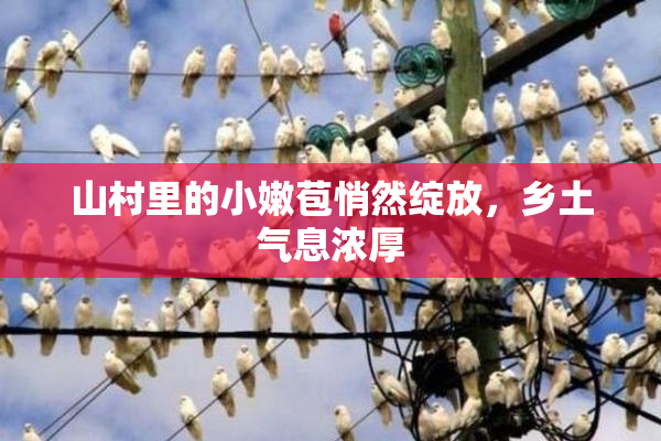 山村里的小嫩苞悄然绽放，乡土气息浓厚
