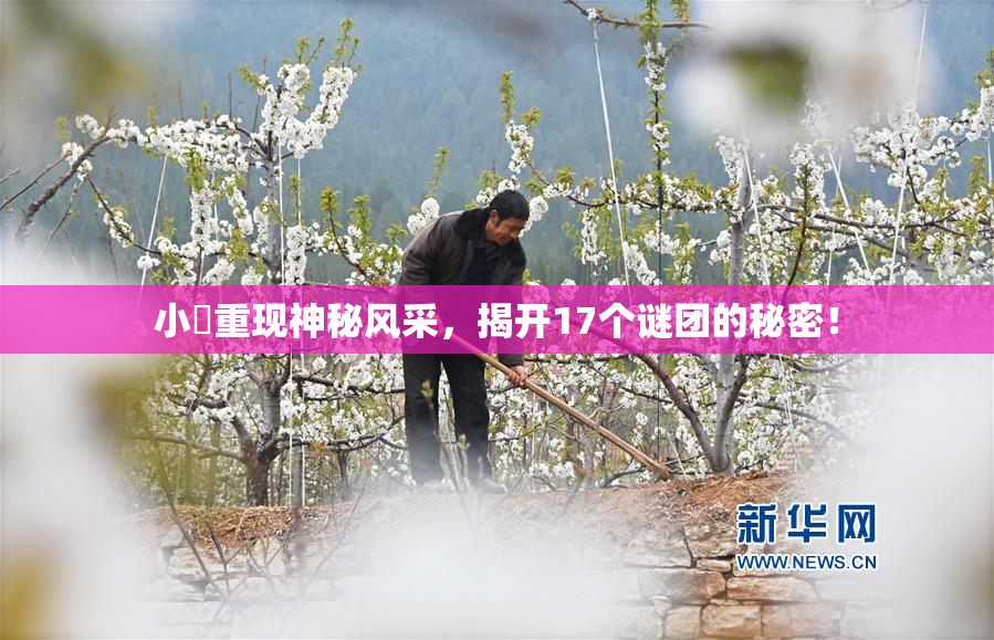 小泬重现神秘风采，揭开17个谜团的秘密！