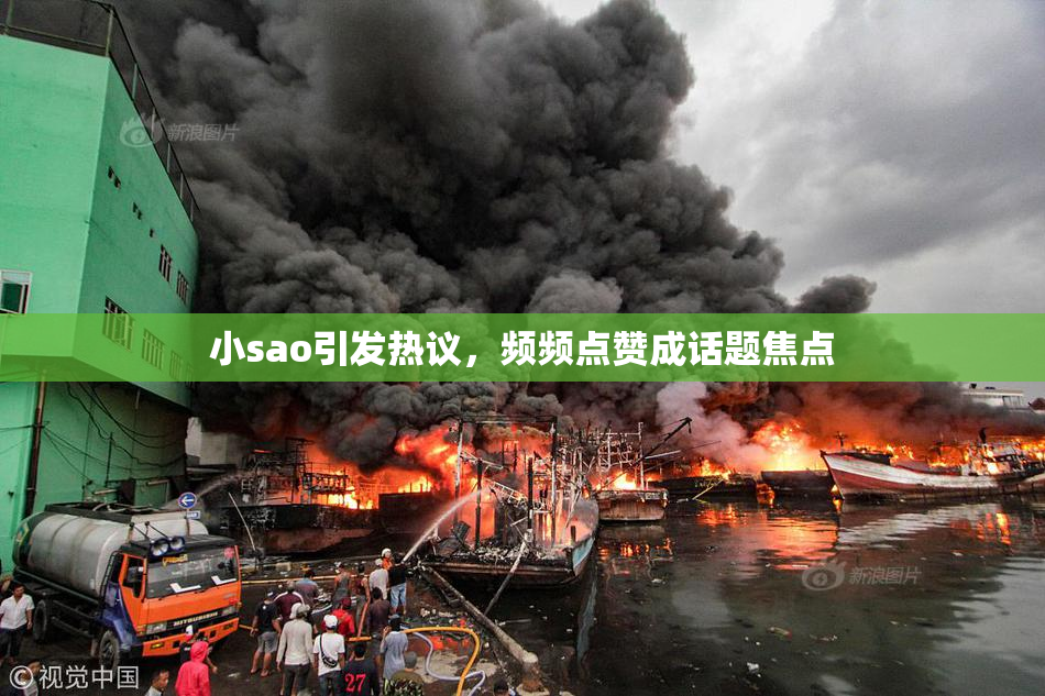 小sao引发热议，频频点赞成话题焦点