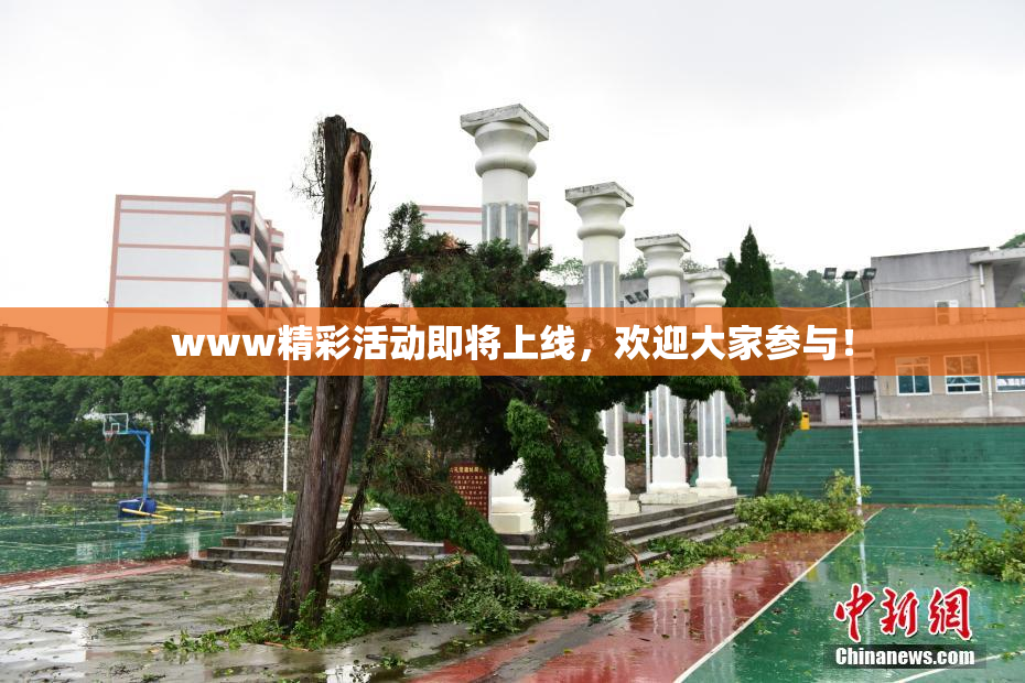 www精彩活动即将上线，欢迎大家参与！