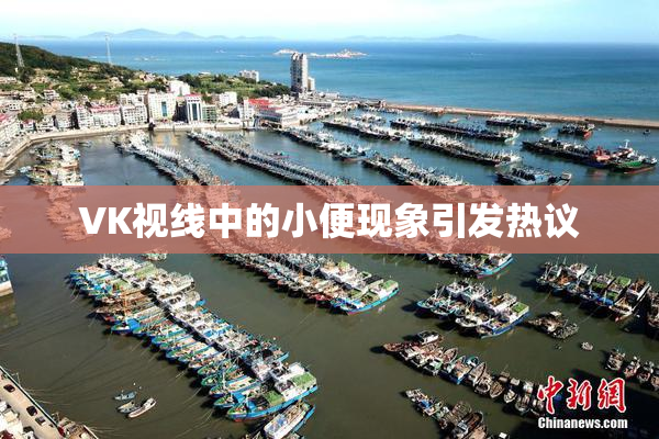 VK视线中的小便现象引发热议