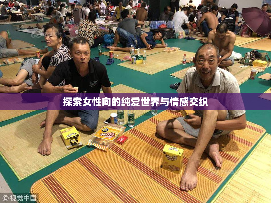 探索女性向的纯爱世界与情感交织