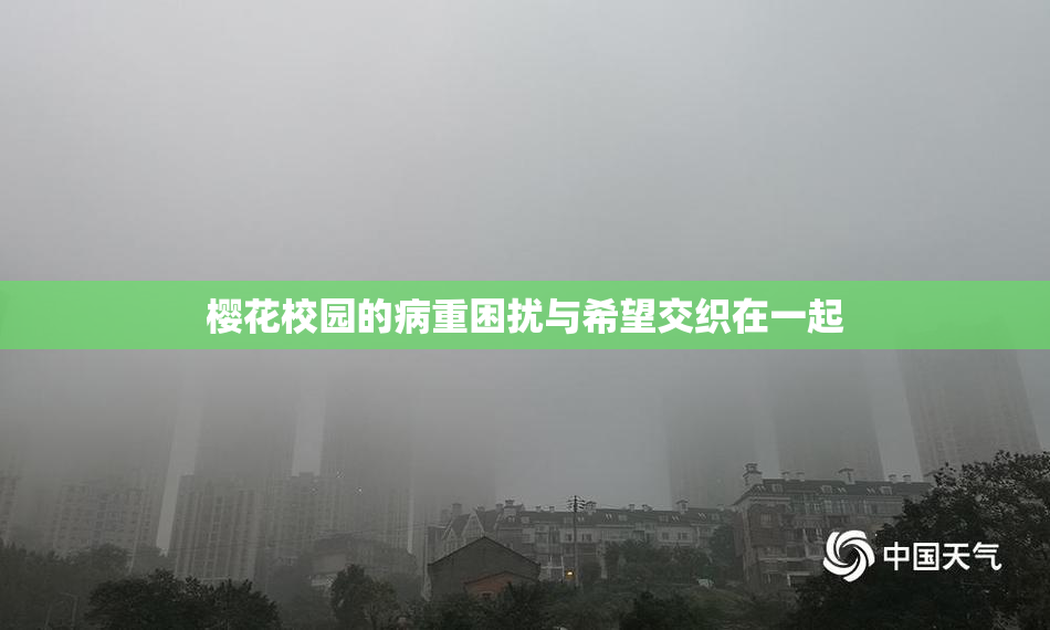 樱花校园的病重困扰与希望交织在一起