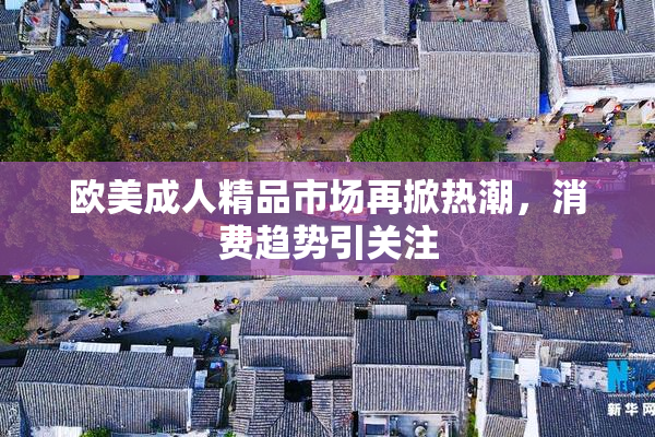 欧美成人精品市场再掀热潮，消费趋势引关注