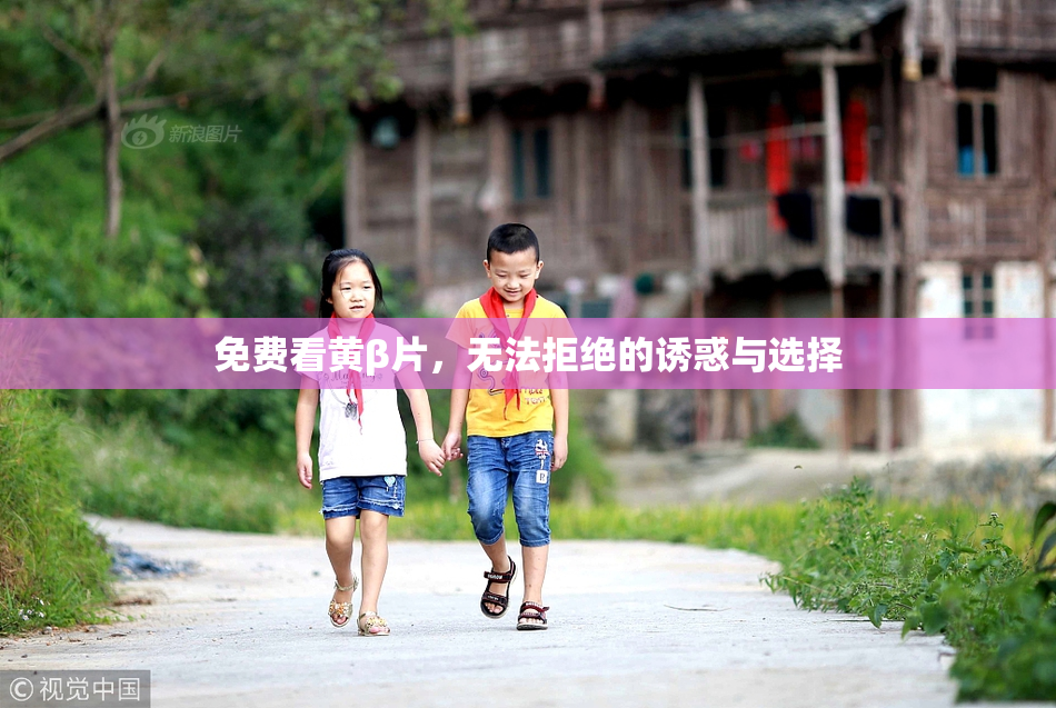 免费看黄β片，无法拒绝的诱惑与选择