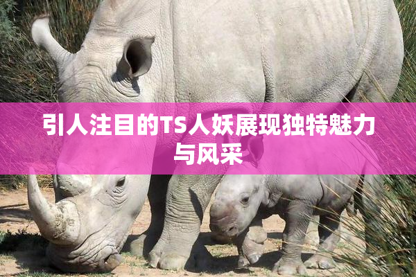 引人注目的TS人妖展现独特魅力与风采