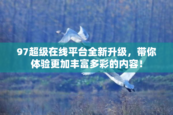 97超级在线平台全新升级，带你体验更加丰富多彩的内容！