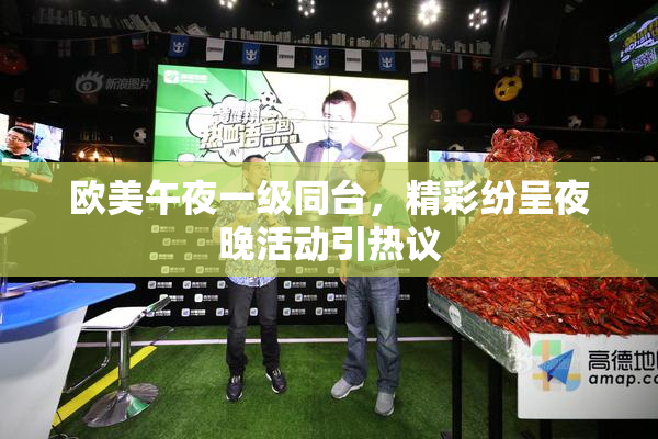 欧美午夜一级同台，精彩纷呈夜晚活动引热议