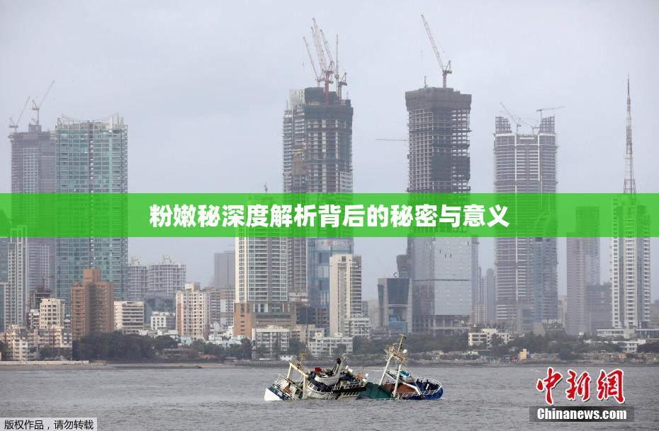 粉嫩秘深度解析背后的秘密与意义