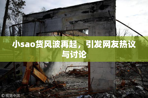 小sao货风波再起，引发网友热议与讨论